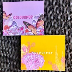 Duo of Colourpop Empty Magnetic Palettes